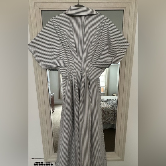 The Tobie Button-Front Pleated Shirt Dress by Exquise NWT - Picture 4 of 12